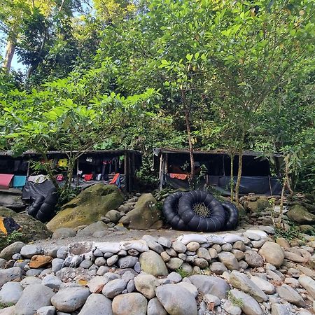 Lucky Bamboo'Bungalows-Resto And Orangutan Jungle Trekking Tours Букит-Лаванг Экстерьер фото
