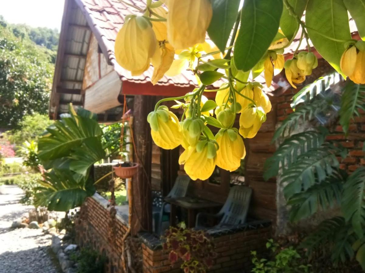 Lucky Bamboo'Bungalows-Resto And Orangutan Jungle Trekking Tours Букит-Лаванг Экстерьер фото