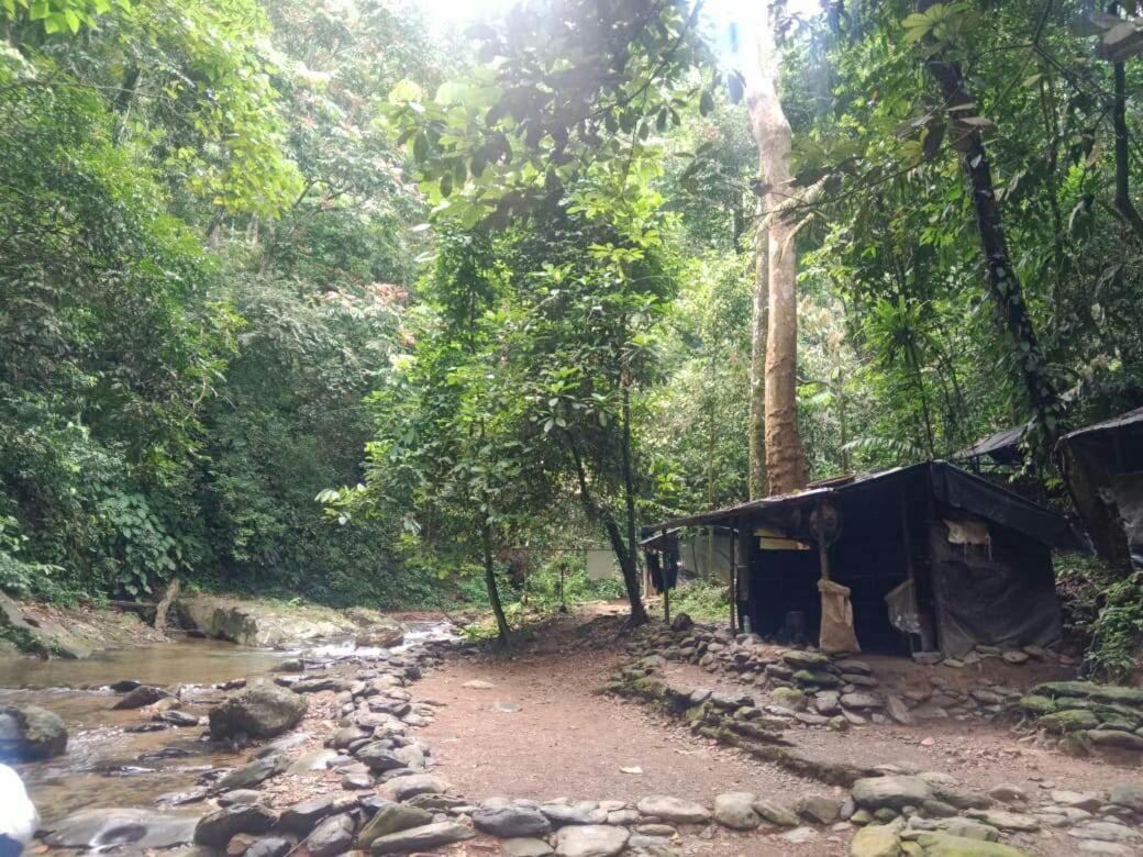 Lucky Bamboo'Bungalows-Resto And Orangutan Jungle Trekking Tours Букит-Лаванг Экстерьер фото