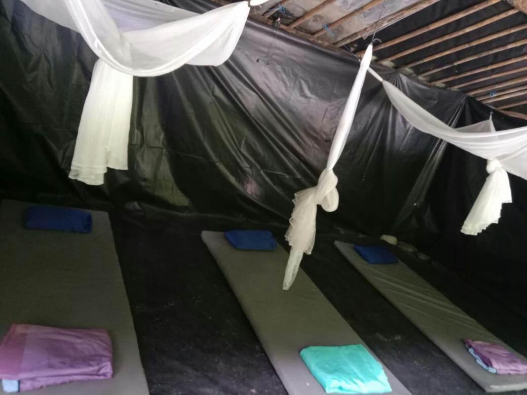 Lucky Bamboo'Bungalows-Resto And Orangutan Jungle Trekking Tours Букит-Лаванг Экстерьер фото