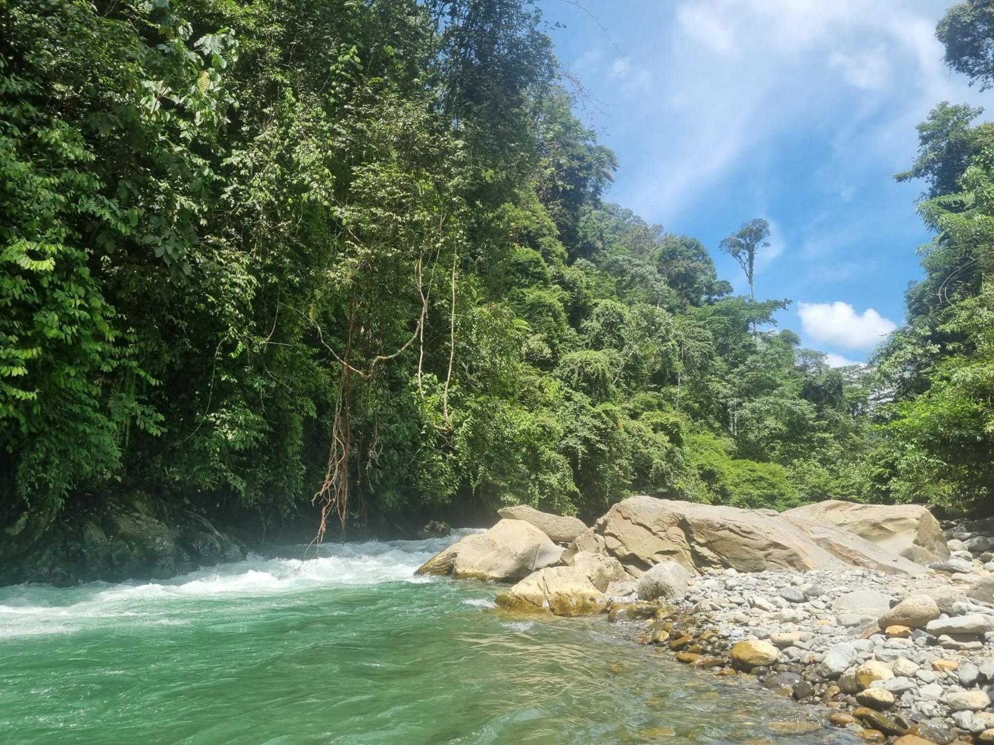 Lucky Bamboo'Bungalows-Resto And Orangutan Jungle Trekking Tours Букит-Лаванг Экстерьер фото
