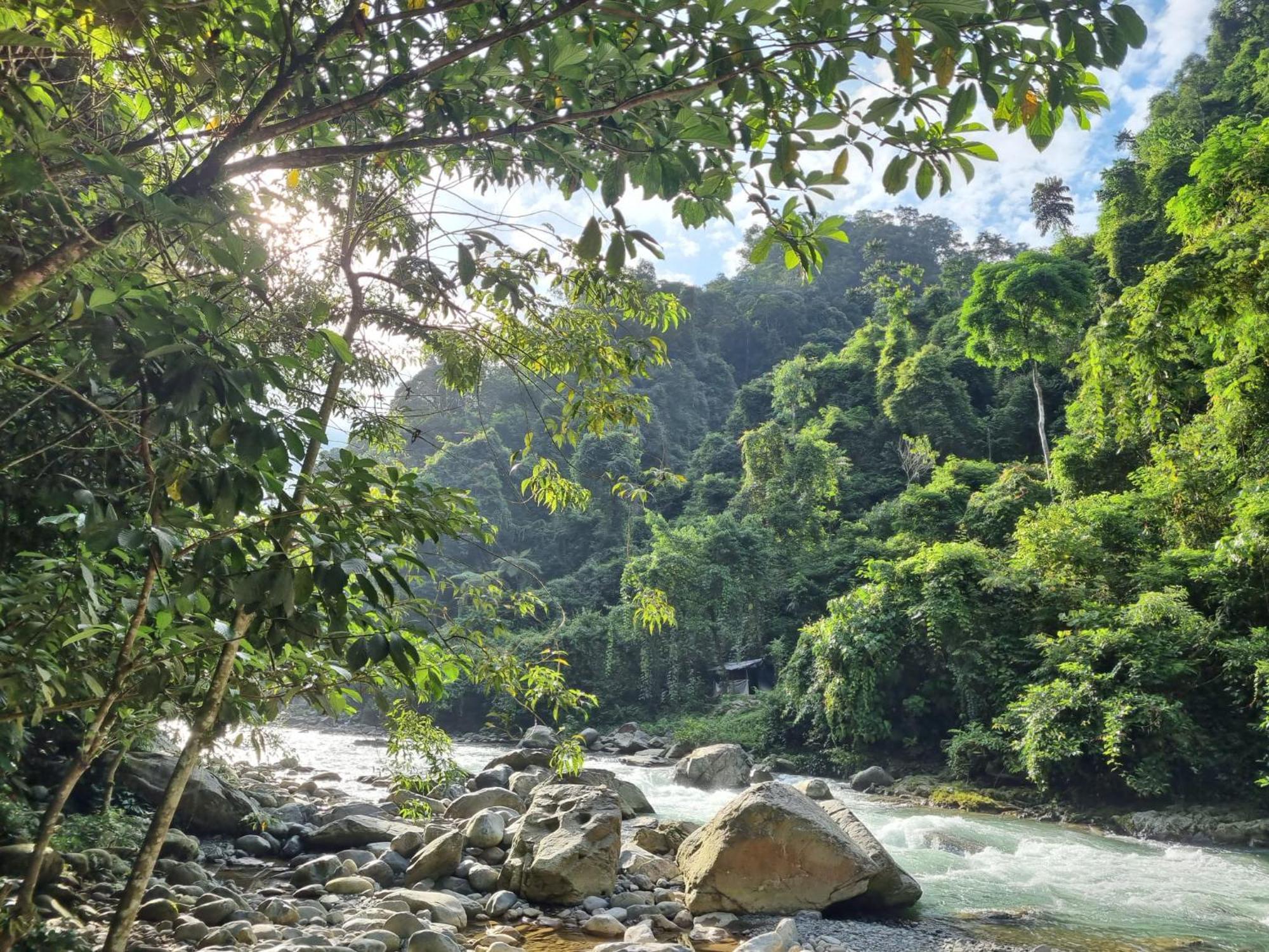 Lucky Bamboo'Bungalows-Resto And Orangutan Jungle Trekking Tours Букит-Лаванг Экстерьер фото