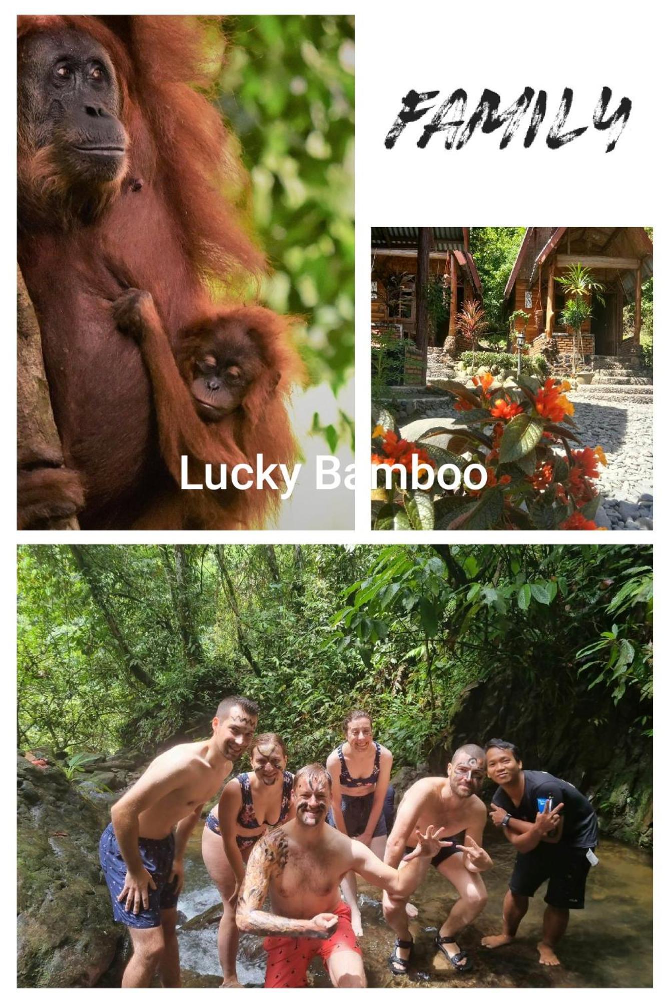 Lucky Bamboo'Bungalows-Resto And Orangutan Jungle Trekking Tours Букит-Лаванг Экстерьер фото