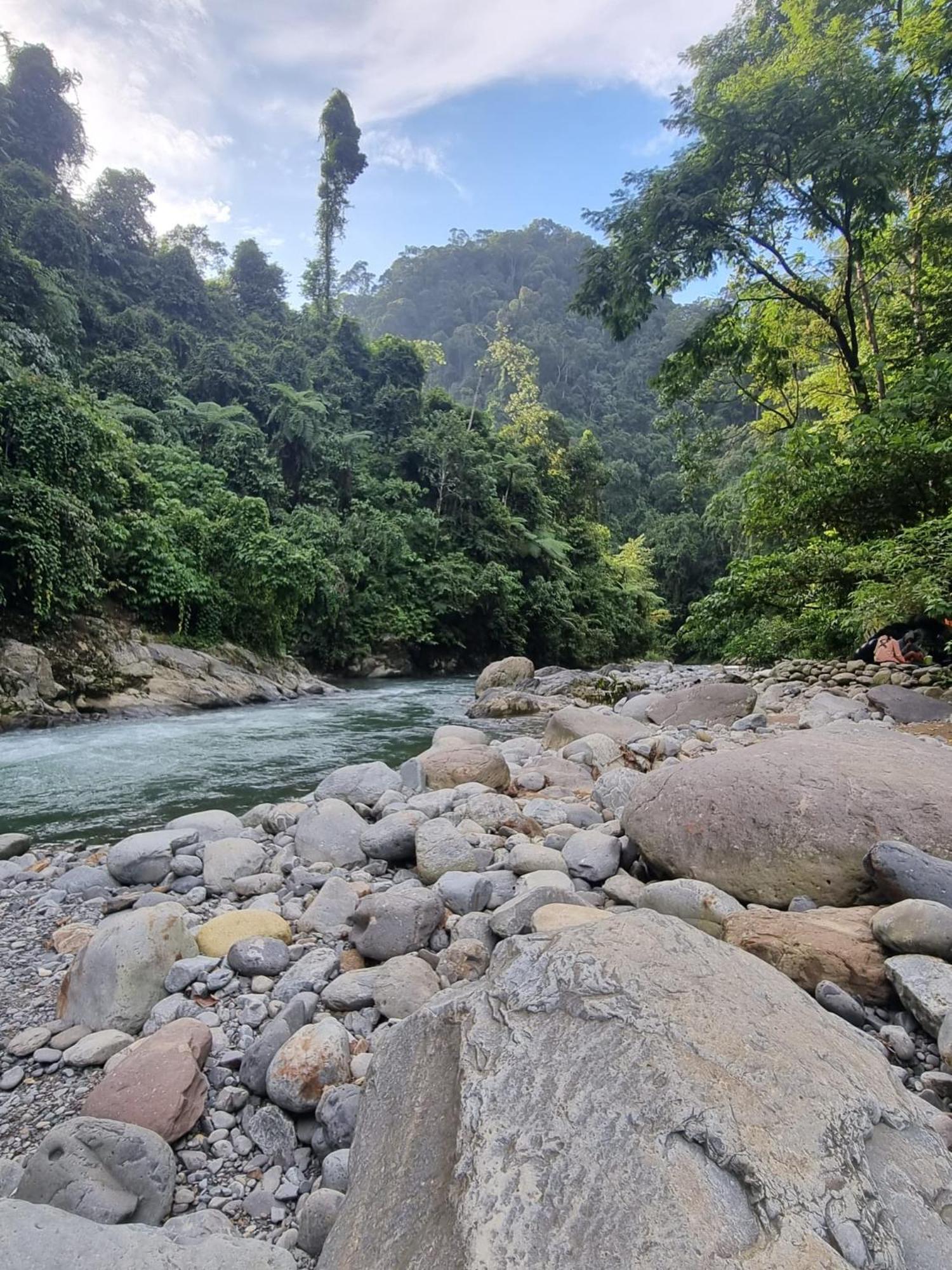 Lucky Bamboo'Bungalows-Resto And Orangutan Jungle Trekking Tours Букит-Лаванг Экстерьер фото